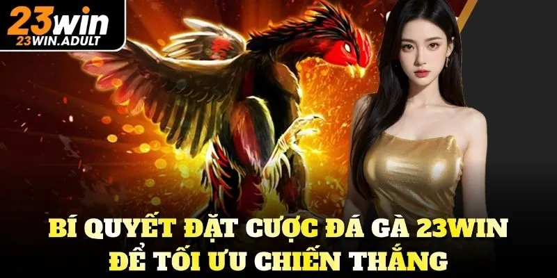 Bí quyết đặt cược đá gà ku casino để tối ưu chiến thắng