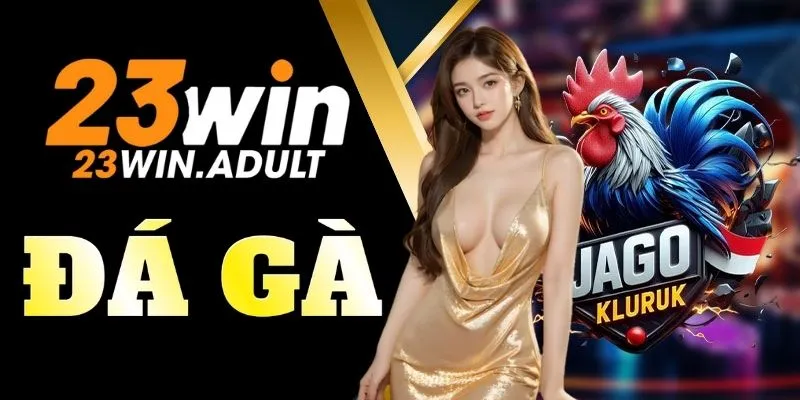 Đá gà ku casino – Trải nghiệm cá cược hấp dẫn mỗi ngày