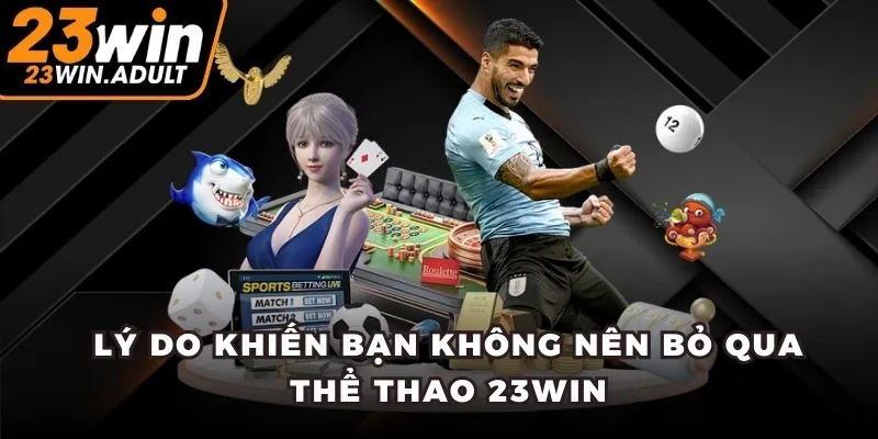 Lý do khiến bạn không nên bỏ qua thể thao 23WIN